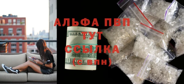 крисы Горняк