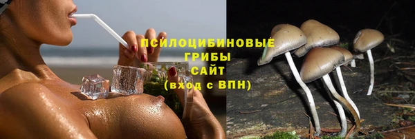 ECSTASY Горно-Алтайск