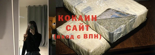 крисы Горняк