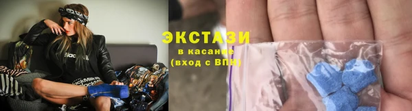 крисы Горняк