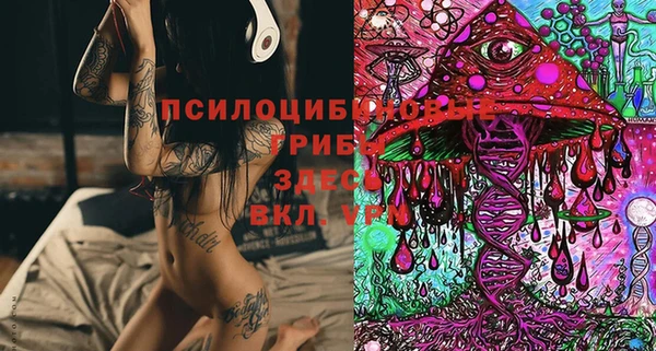 ECSTASY Горно-Алтайск